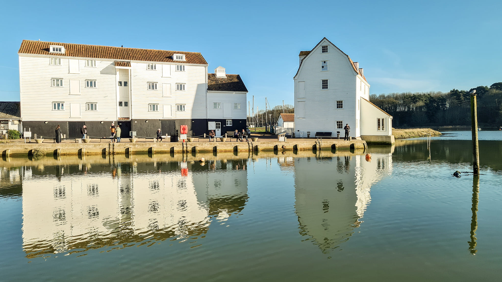 17 1 22 photo Mike Whitby