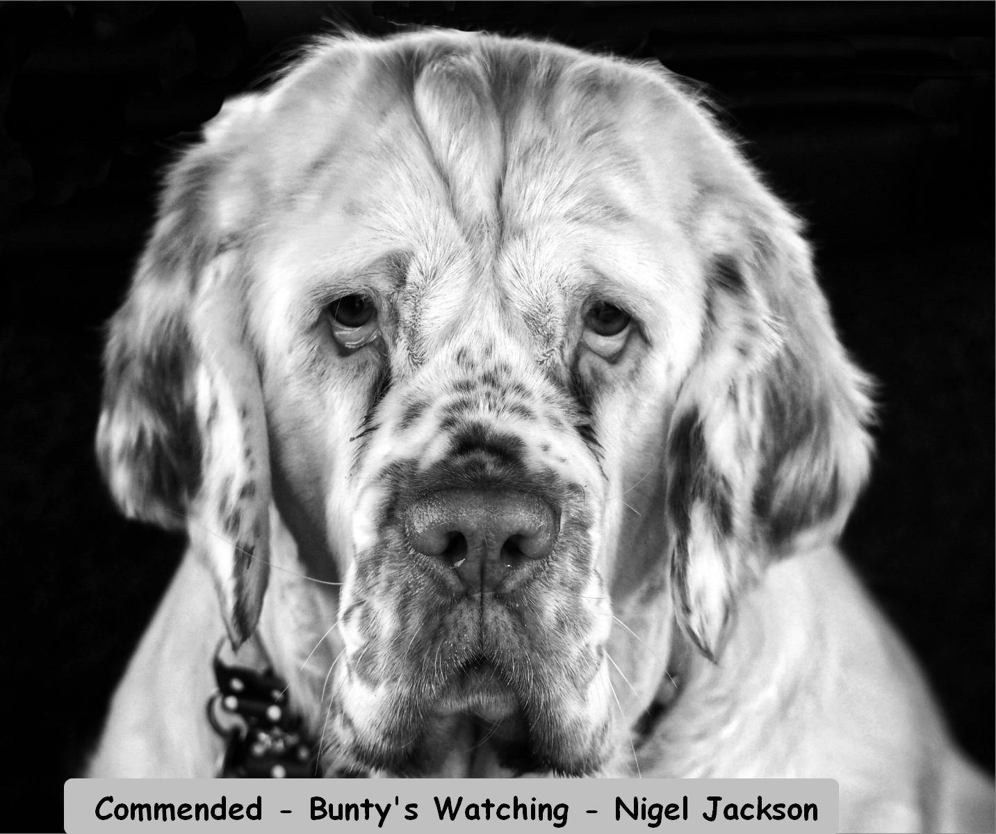 For Ossie Kettle Trophy